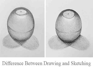 Drawing Vs. Sketching: 10 Differences